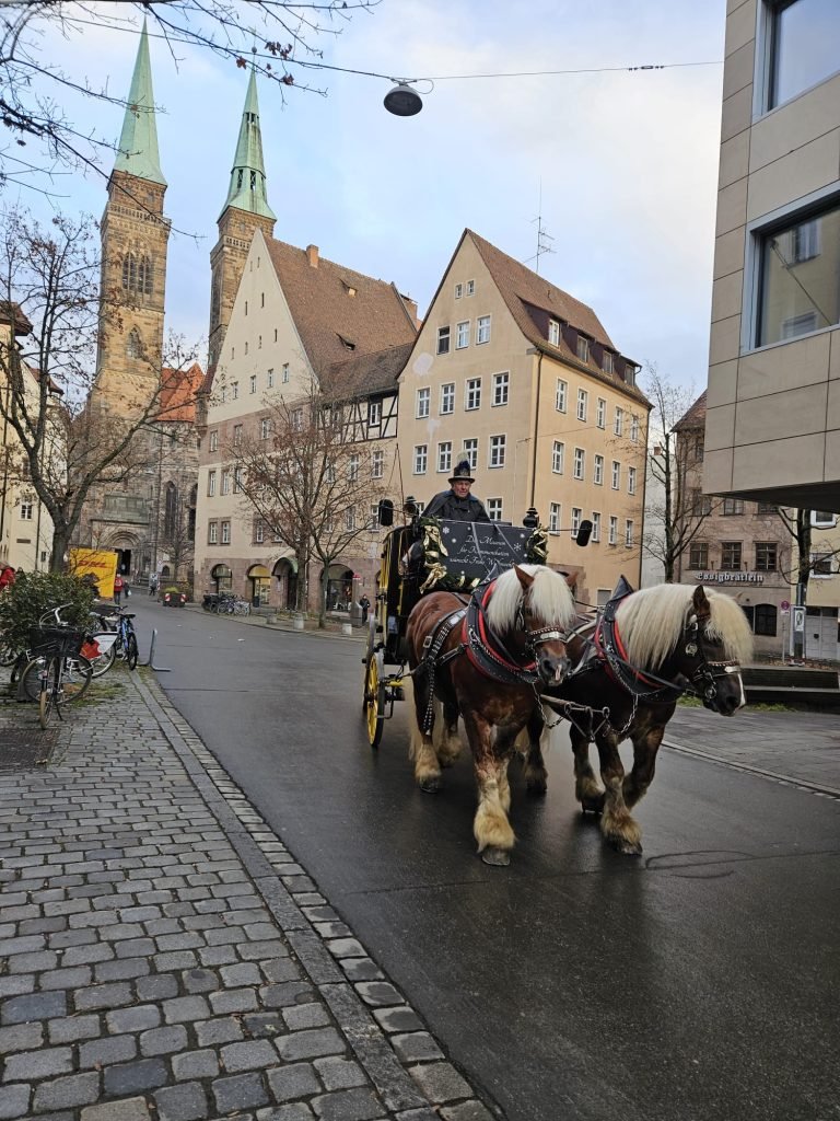 horses