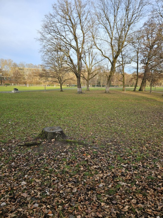 park