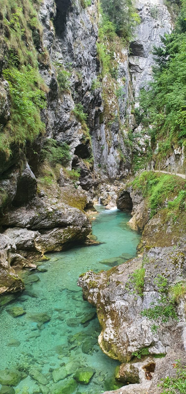 tolminska korita