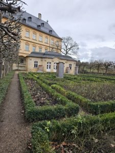 rose garden