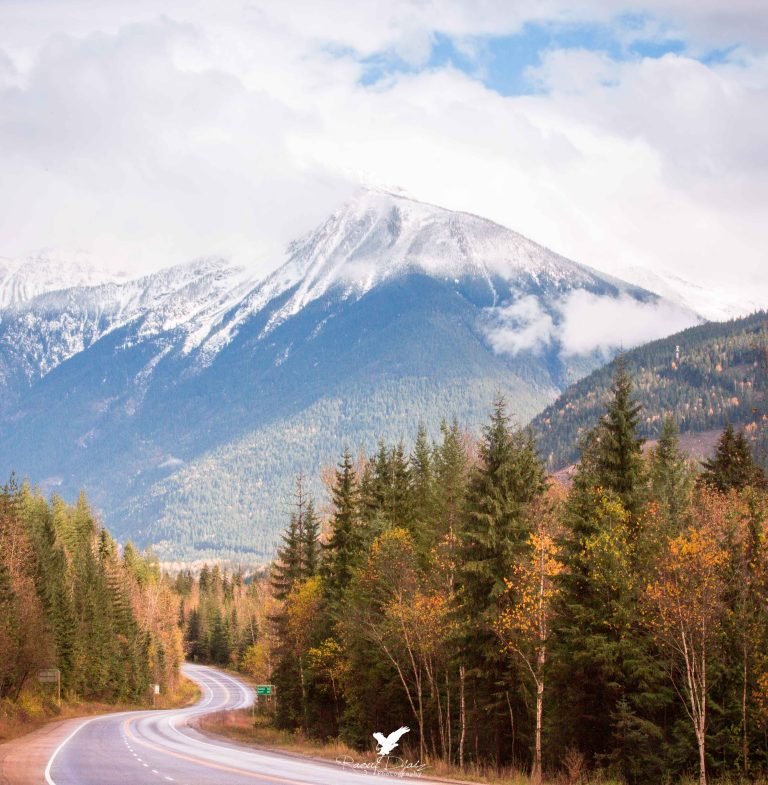 rockies road