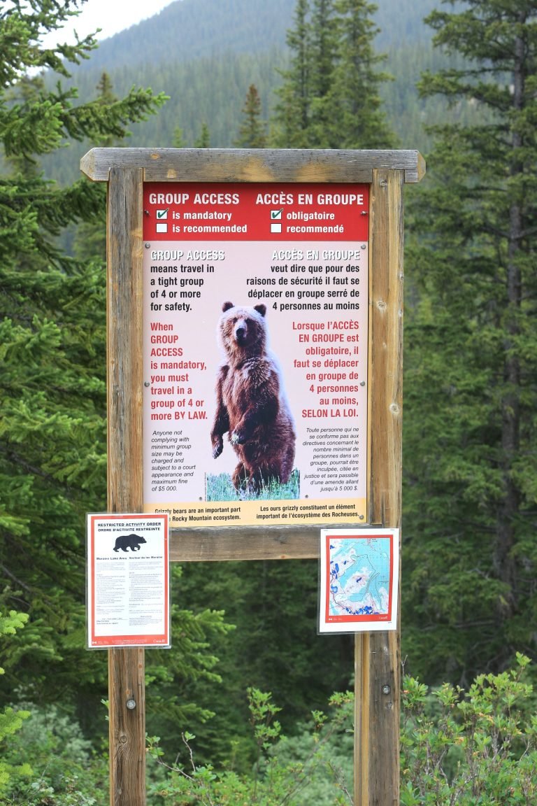 a bear sign
