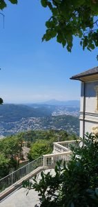 brunate