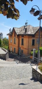 brunate