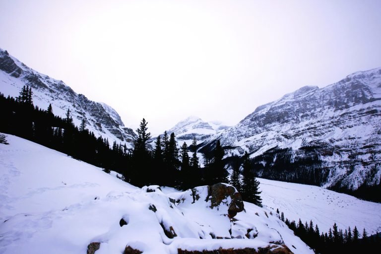 Peyto lake
