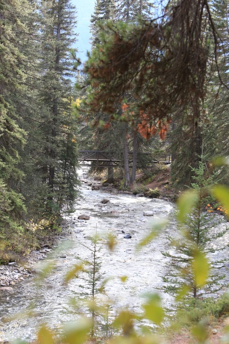 bridge