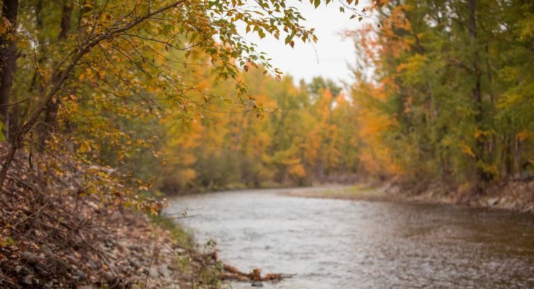 Mission creek park