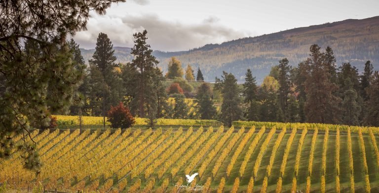 Kelowna