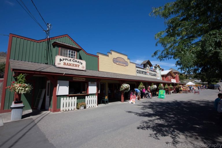 farm store