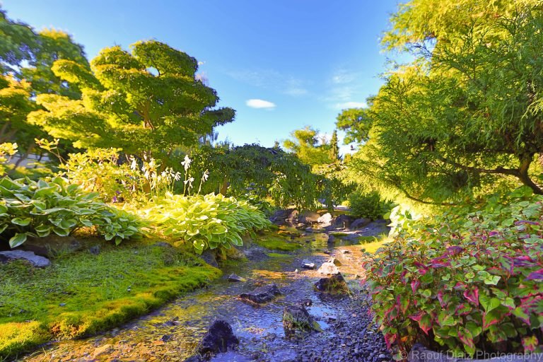Kasugai gardens