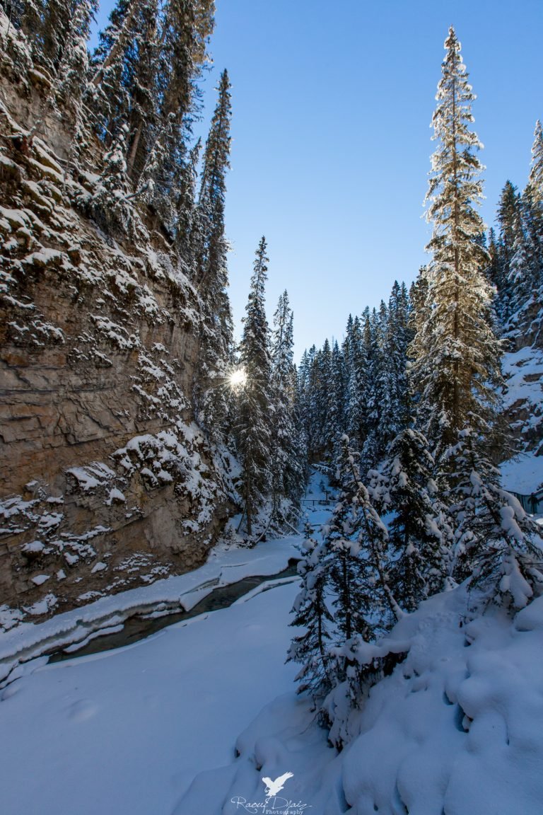 johnston Canyon