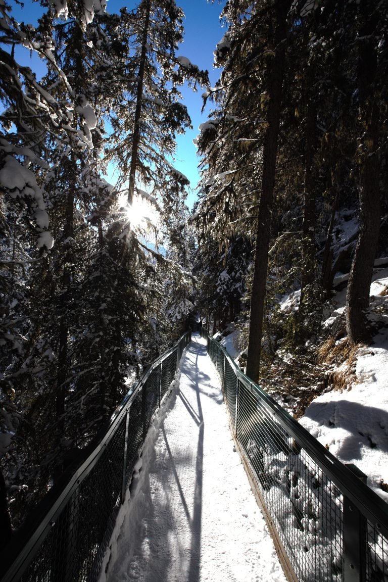 Johnston canyon