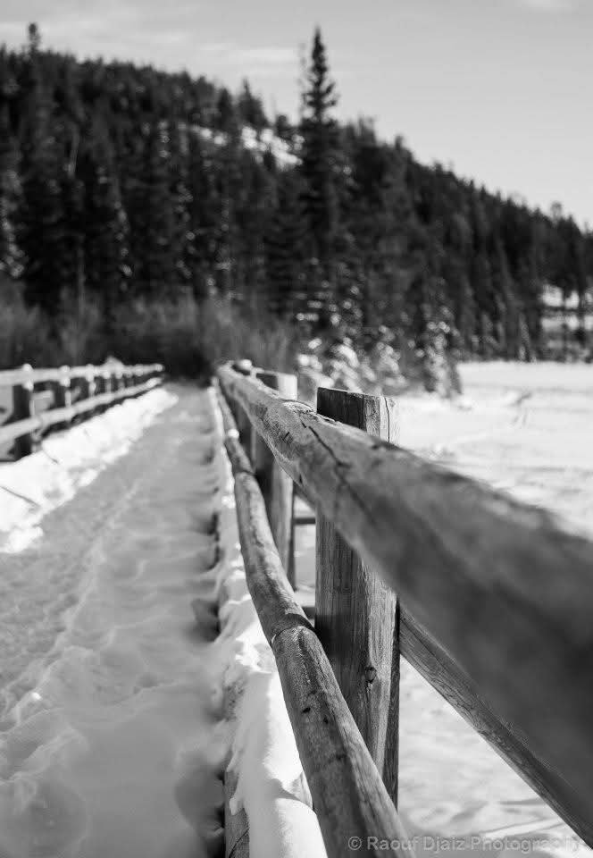 bridge