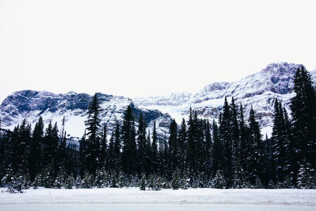 crowfoot