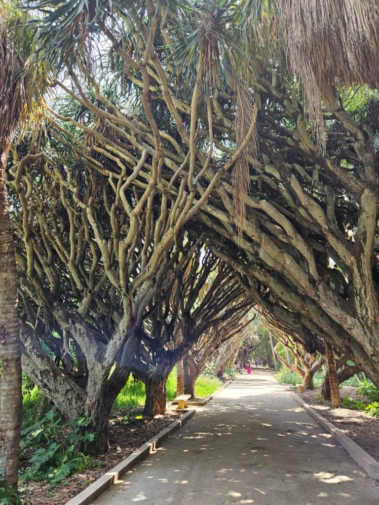 jardin d'essai