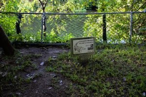 crocodile_sign