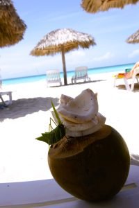 Coconut
