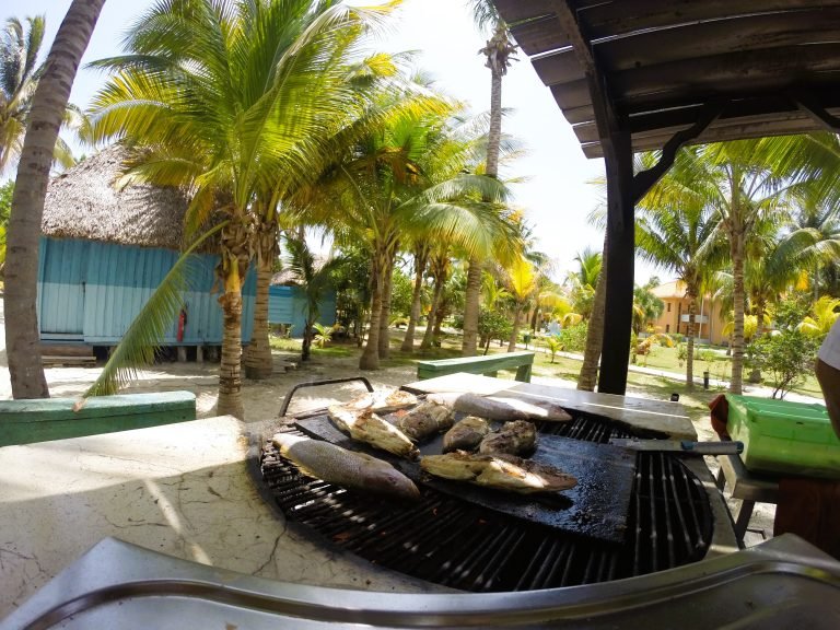 fish bbq