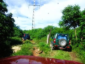 jeep safari