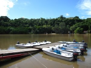 boats