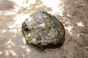 stone