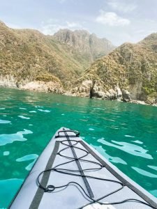 Kayak