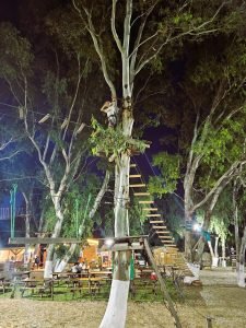 zipline