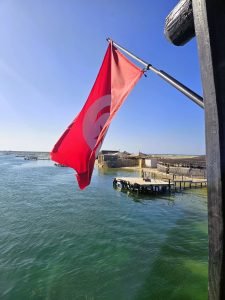 tunis flag