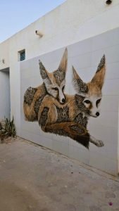 djerbahood
