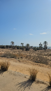 djerba