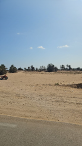 djerba