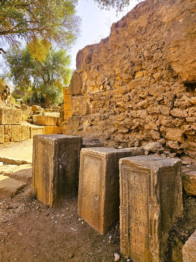 Tipaza