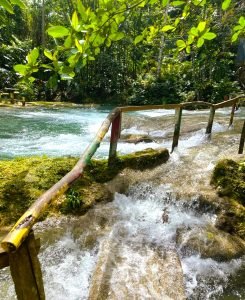 dunn;s river fall