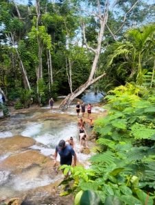 dunn's river fall