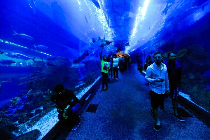 aquarium
