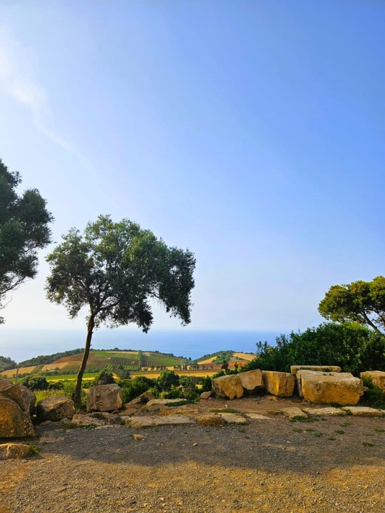 tipaza