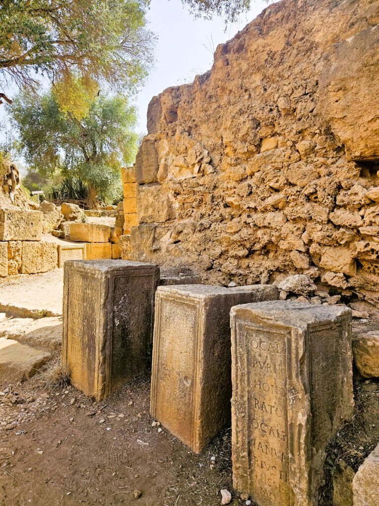 tipaza