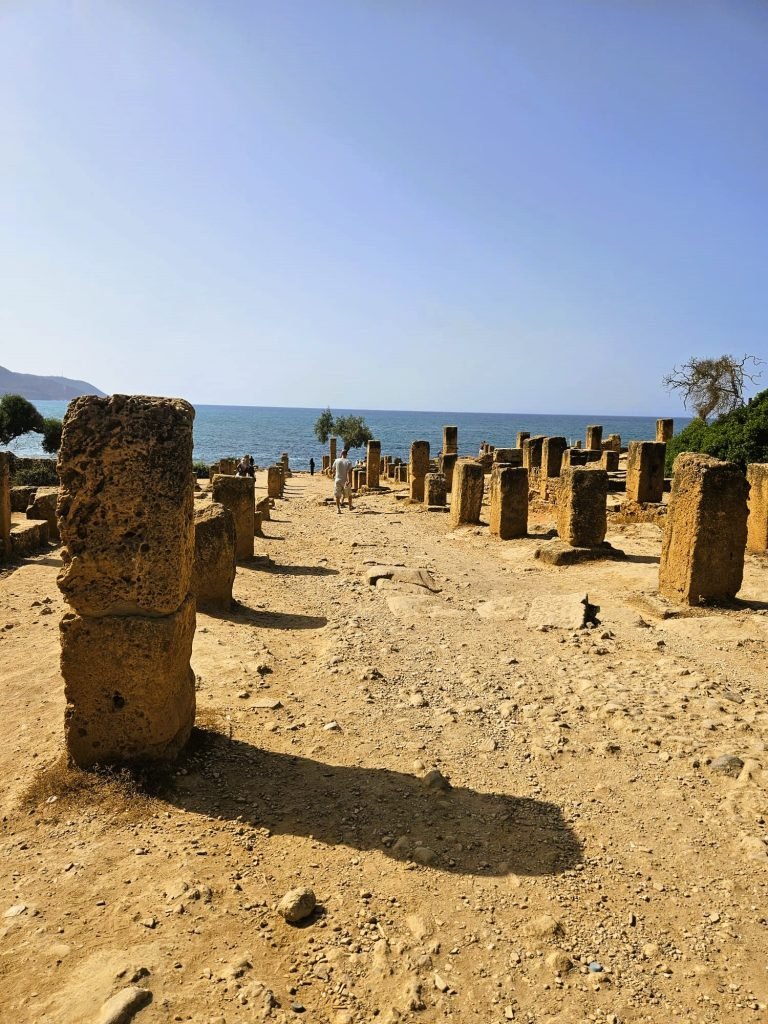 tipaza