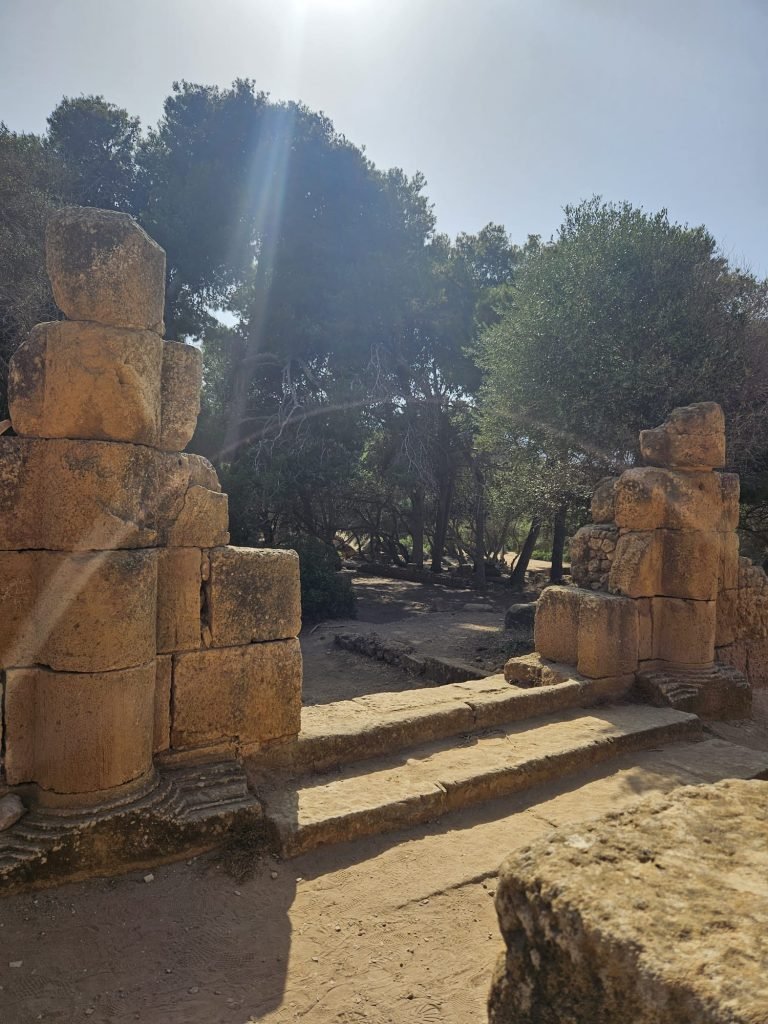 tipaza