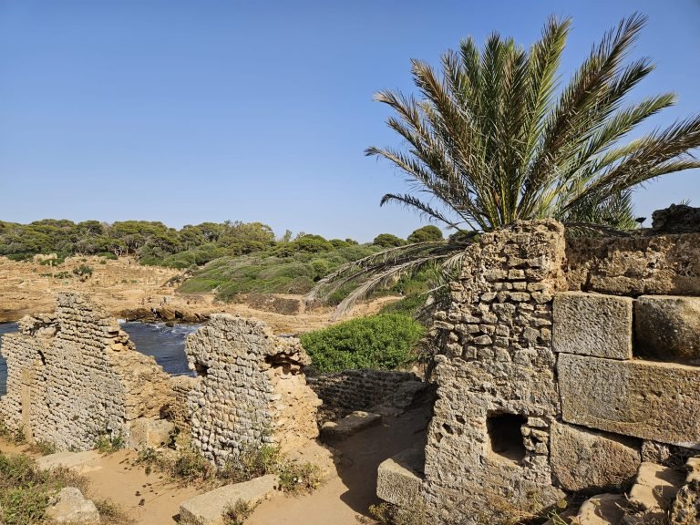 tipaza