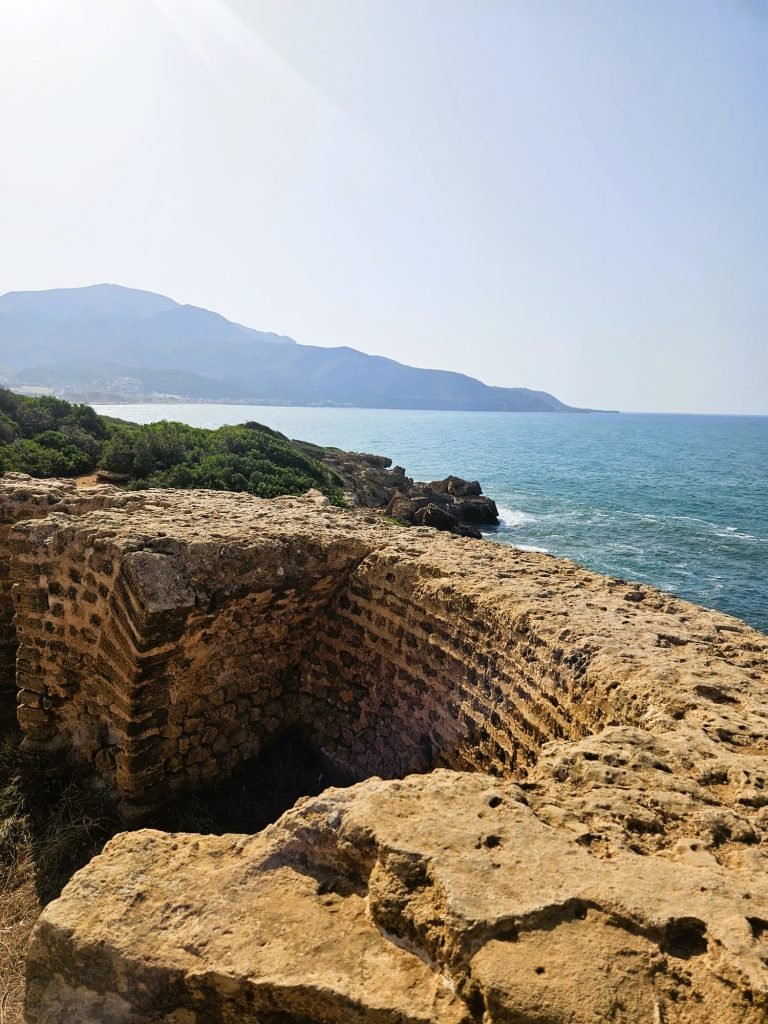 tipaza