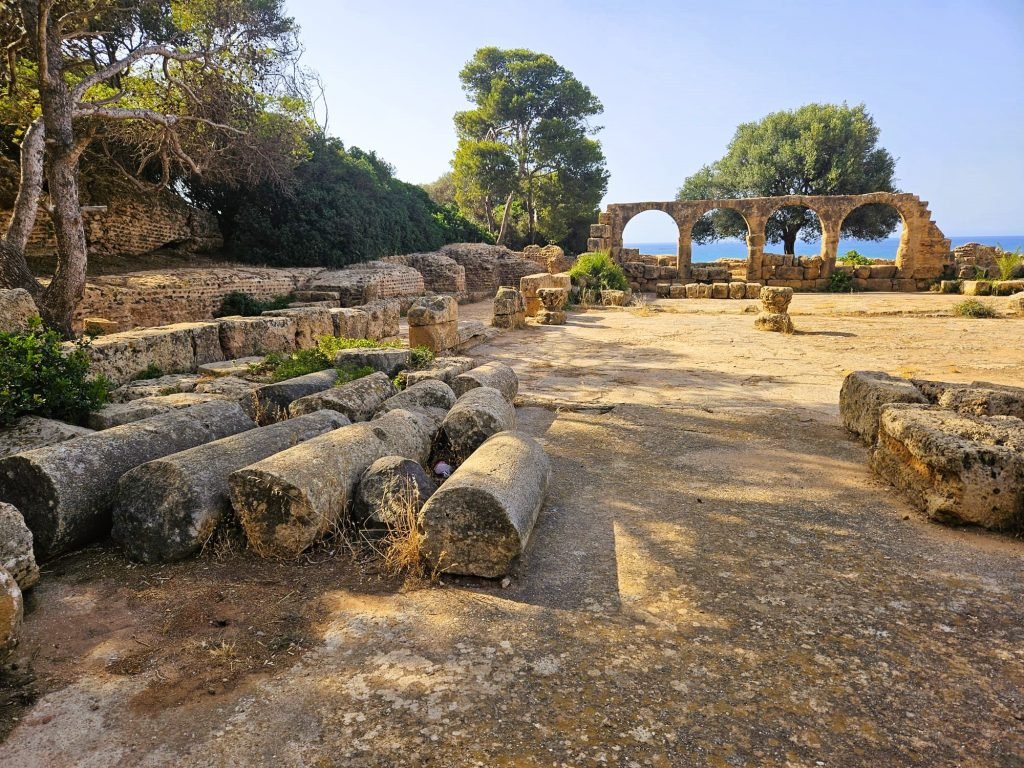 Tipaza