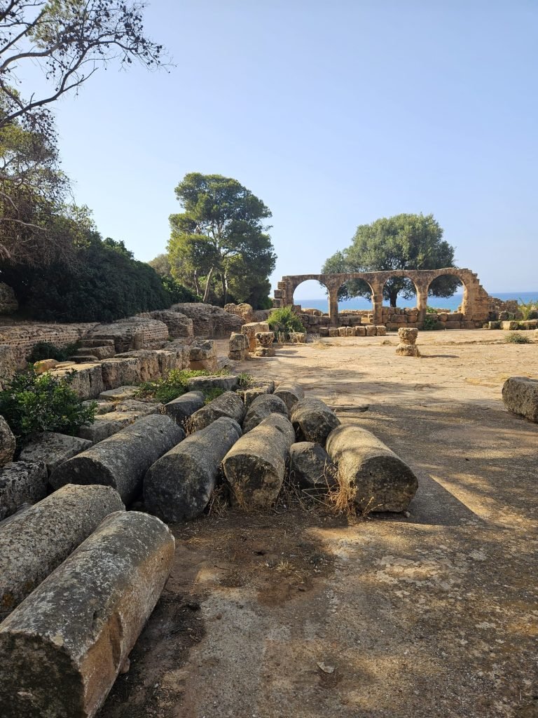 Tipaza