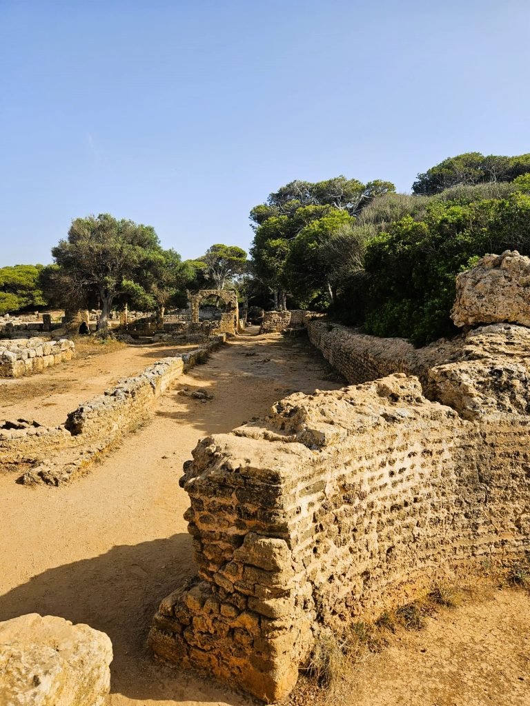 tipaza