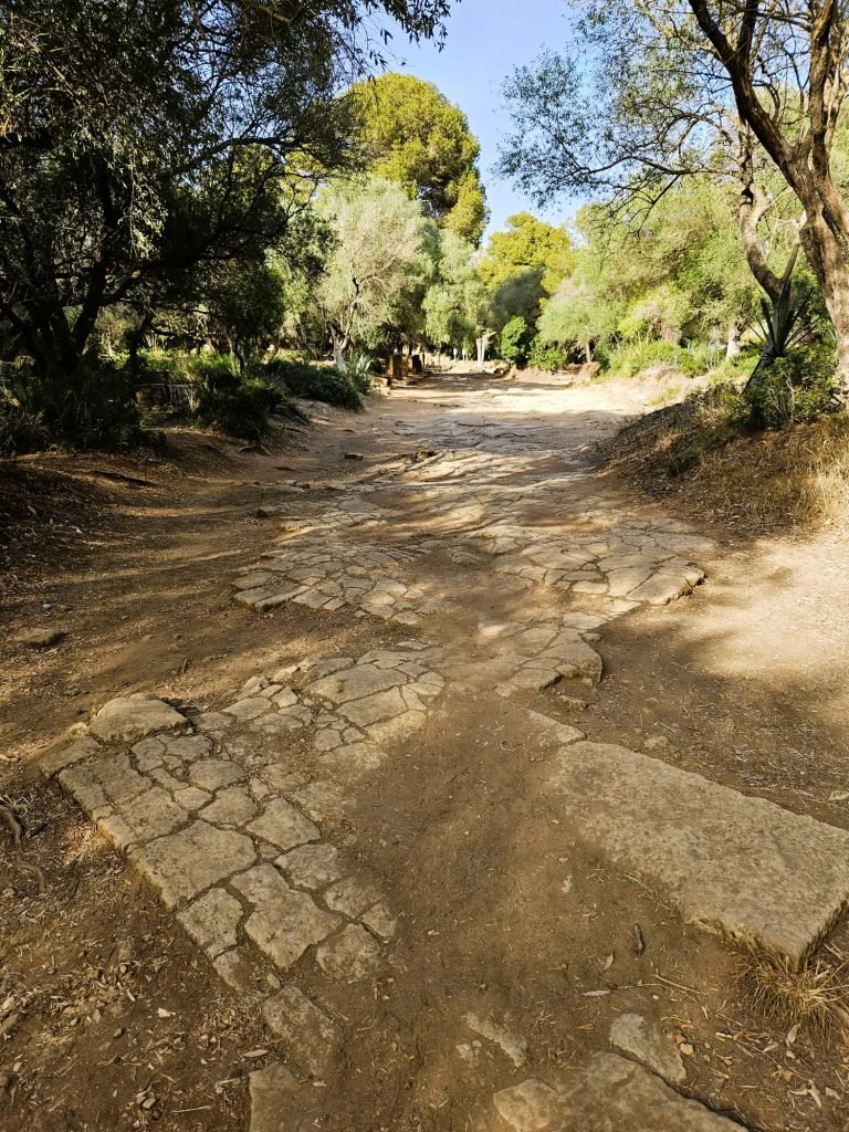 tipaza