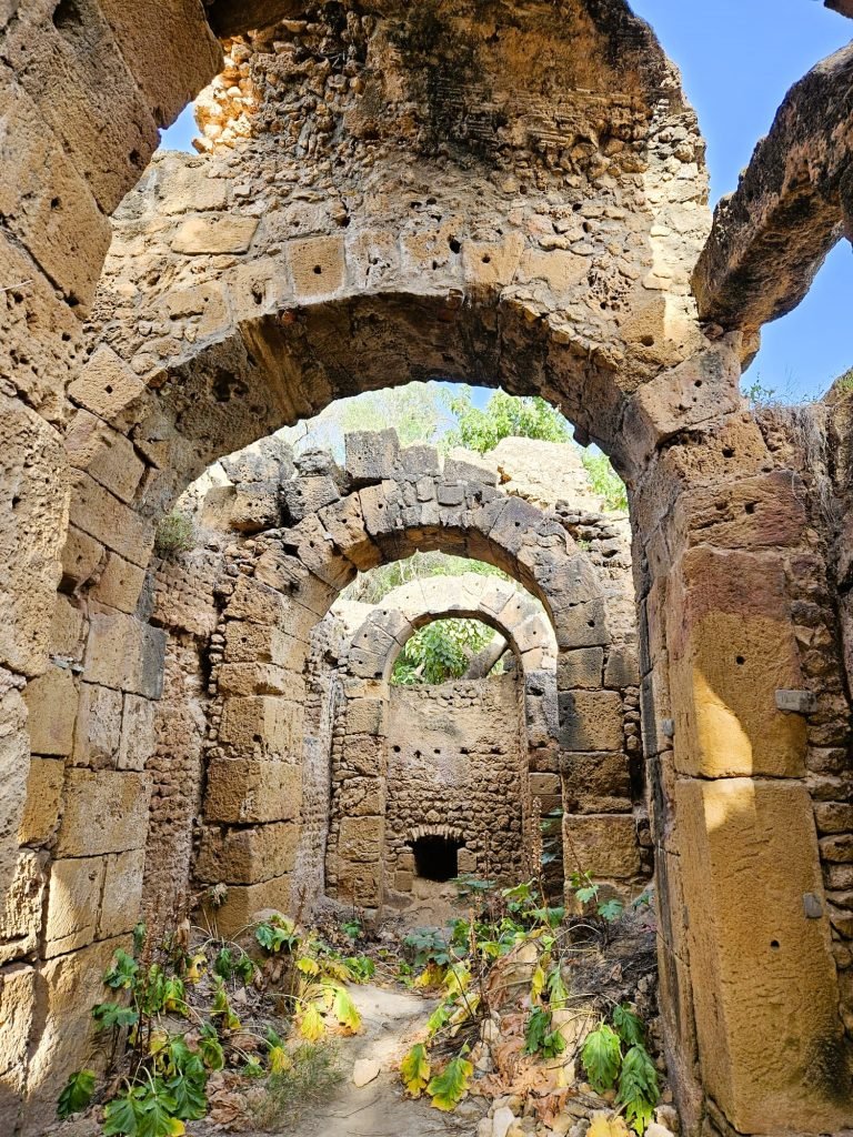 tipaza