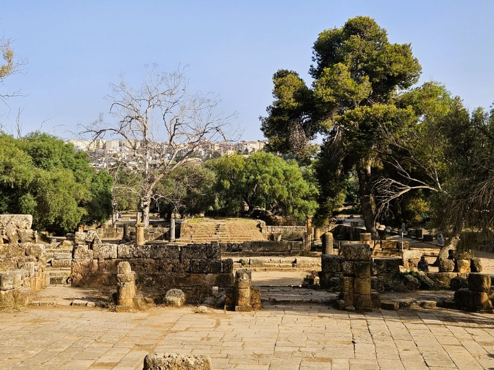 tipaza