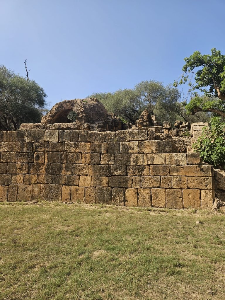 tipaza