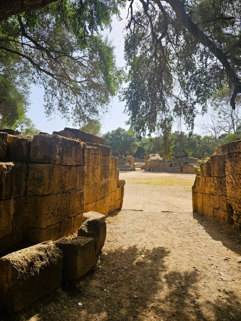forum
