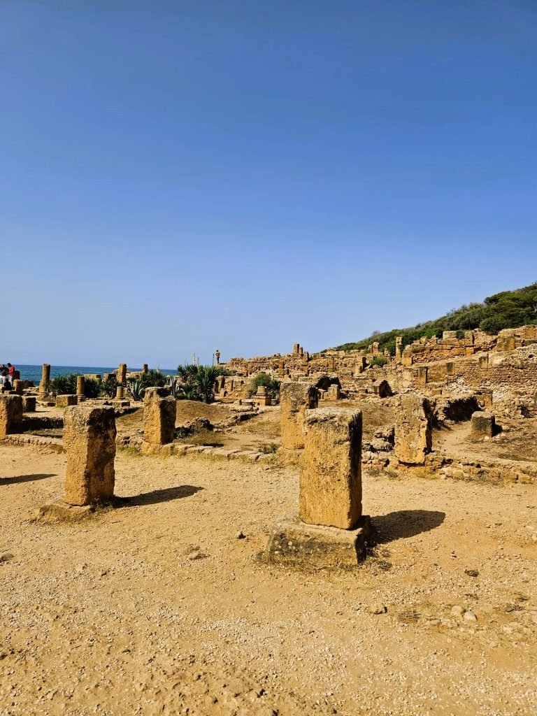tipaza